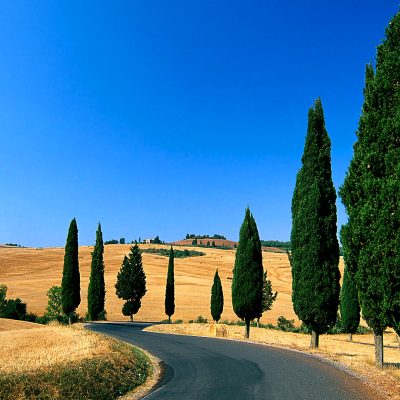 paesaggio Toscana paesaggio Toscana